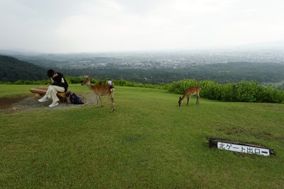 Nara Park, Japan